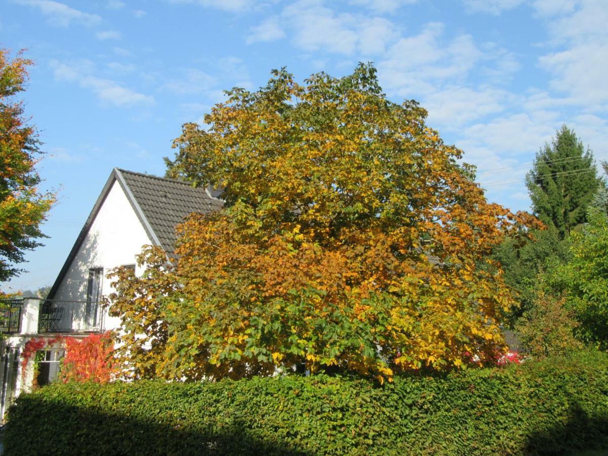 Eifel Gaestewohnung บลังเคินไฮม์ ภายนอก รูปภาพ